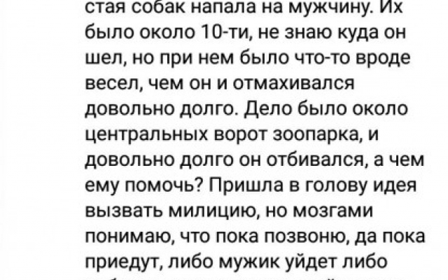 В Николаеве бродячие собаки продолжают нападать на людей Фото № 1 В Николаеве бродячие собаки продолжают нападать на людей Фото № 1