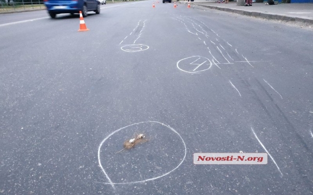 На Героев Сталинграда автомобиль насмерть сбил молодую женщину Фото № 4 На Героев Сталинграда автомобиль насмерть сбил молодую женщину Фото № 4