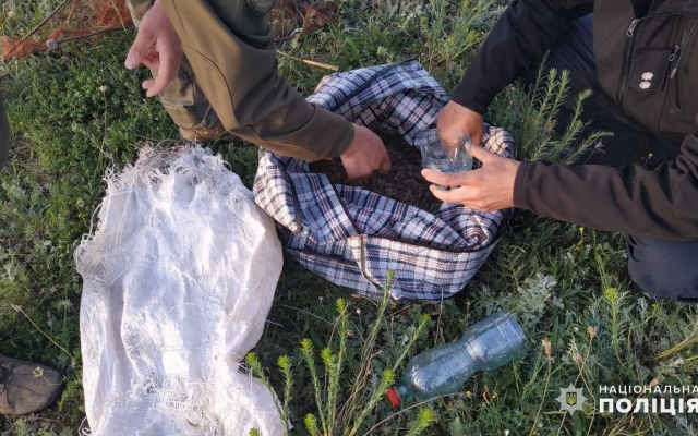 В Березанском районе правоохранители задержали браконьера, незаконно вылавливавшего креветку и бычки Фото № 3 В Березанском районе правоохранители задержали браконьера, незаконно вылавливавшего креветку и бычки Фото № 3