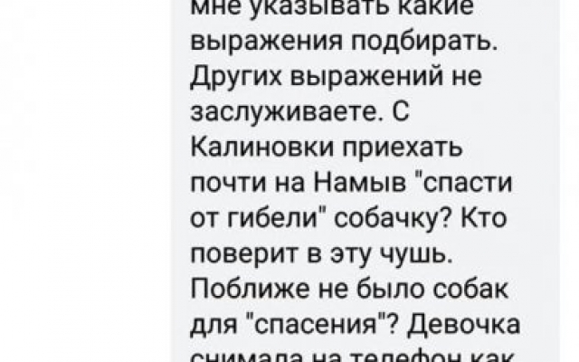 Николаевские зоозащитники зверским образом отлавливают и стерилизуют бездомных собак Фото № 12 Николаевские зоозащитники зверским образом отлавливают и стерилизуют бездомных собак Фото № 12
