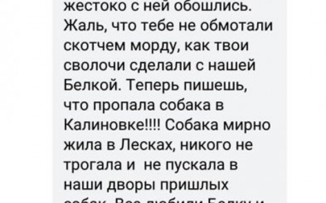 Николаевские зоозащитники зверским образом отлавливают и стерилизуют бездомных собак Фото № 8 Николаевские зоозащитники зверским образом отлавливают и стерилизуют бездомных собак Фото № 8