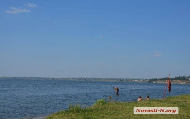 На пляже «Стрелка» берег усыпан дохлой рыбой, жители Николаева продолжают купаться в реке Фото № 7 На пляже «Стрелка» берег усыпан дохлой рыбой, жители Николаева продолжают купаться в реке Фото № 7