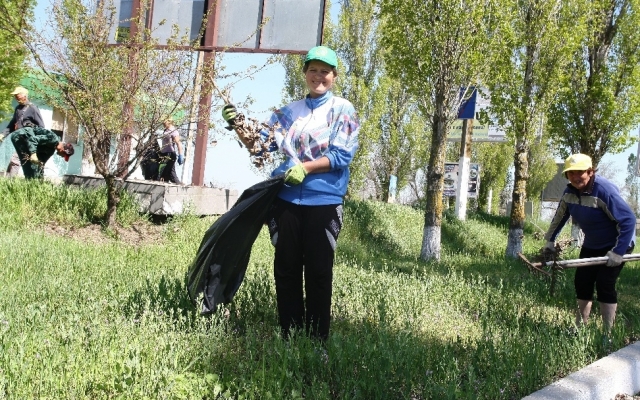 Жители Коблево провели субботник и подготовили курорт к открытию туристического сезона Фото № 12 Жители Коблево провели субботник и подготовили курорт к открытию туристического сезона Фото № 12