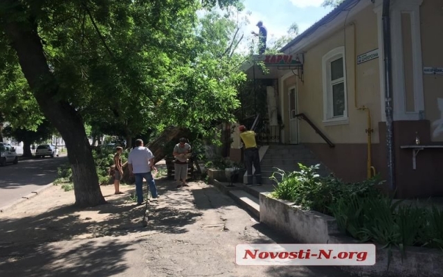 На Шевченко на продуктовый магазин упало дерево Фото № 7 На Шевченко на продуктовый магазин упало дерево Фото № 7