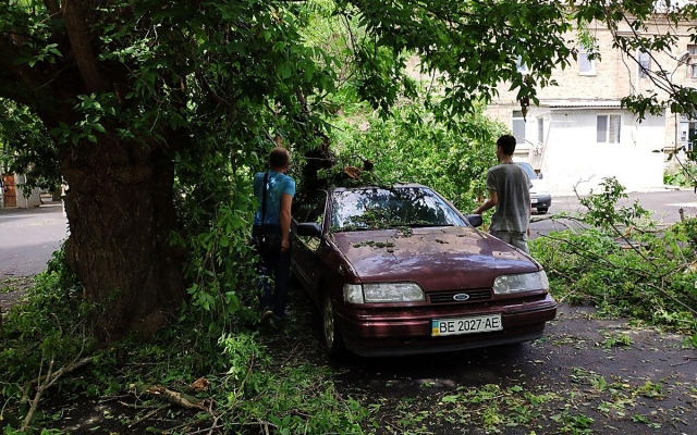 На Декабристов дерево упало на припаркованный возле дома автомобиль Фото № 1 На Декабристов дерево упало на припаркованный возле дома автомобиль Фото № 1