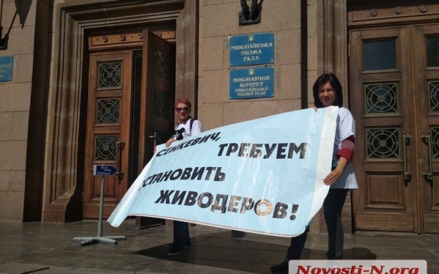 Пикет под Николаевским горсоветом: зоозащитники требуют «гуманную программу» по обращению с животными Фото № 1 Пикет под Николаевским горсоветом: зоозащитники требуют «гуманную программу» по обращению с животными Фото № 1