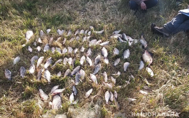 В Витовском районе задержали браконьера, который осуществлял незаконный лов рыбы, ущерб составил почти 40 тысяч гривен Фото № 3 В Витовском районе задержали браконьера, который осуществлял незаконный лов рыбы, ущерб составил почти 40 тысяч гривен Фото № 3