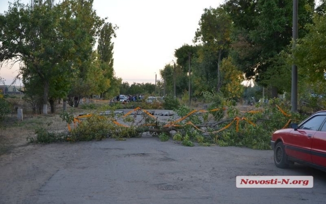 В поселке Грейгово жители перекрыли дорогу к элеватору Фото № 8 В поселке Грейгово жители перекрыли дорогу к элеватору Фото № 8