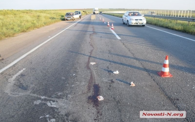 Авария на трассе «Николаев-Херсон»: из-за собаки серьезно травмирован водитель автомобиля Фото № 7 Авария на трассе «Николаев-Херсон»: из-за собаки серьезно травмирован водитель автомобиля Фото № 7