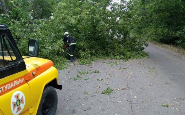 В Николаевской области непогода натворила много бед: повалены деревья, снесены кровли, заблокированы проезды и проходы Фото № 3 В Николаевской области непогода натворила много бед: повалены деревья, снесены кровли, заблокированы проезды и проходы Фото № 3
