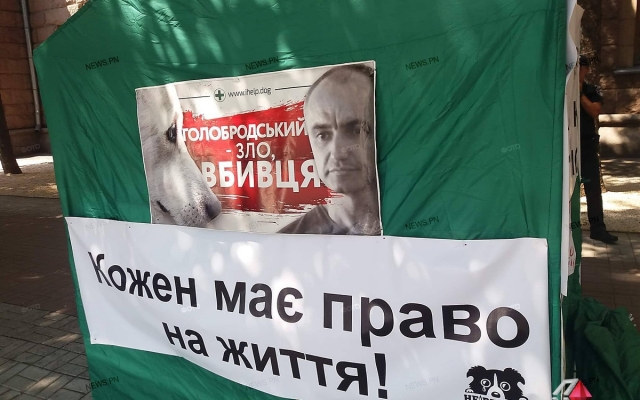 Николаевские зоозащитники требуют уволить директора «Центра защиты животных» Александра Голобродского Фото № 4 Николаевские зоозащитники требуют уволить директора «Центра защиты животных» Александра Голобродского Фото № 4