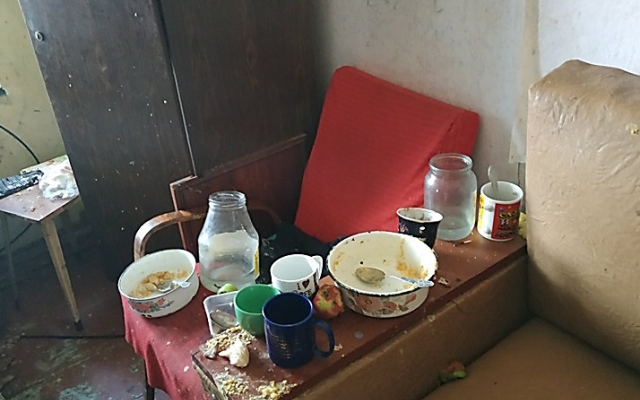 В Николаеве из семьи забрали четырехлетнего мальчика, мать злоупотребляет алкоголем Фото № 7 В Николаеве из семьи забрали четырехлетнего мальчика, мать злоупотребляет алкоголем Фото № 7