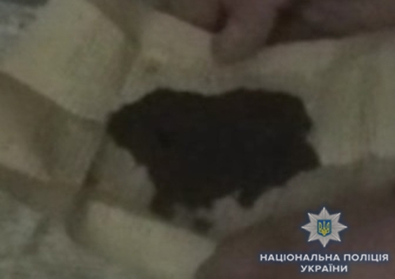 В Еланецком районе у двух местных жителей изъяли 259 куста конопли и более 300 г каннабиса Фото № 4 В Еланецком районе у двух местных жителей изъяли 259 куста конопли и более 300 г каннабиса Фото № 4