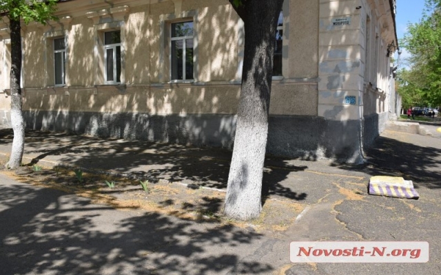 Жители Николаева жалуются на невозможность дышать, в центре города засыпает пух с платанов Фото № 6 Жители Николаева жалуются на невозможность дышать, в центре города засыпает пух с платанов Фото № 6