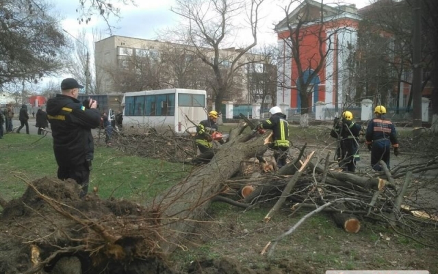 На Чигрина из-за сильного порыва ветра на маршрутку рухнуло дерево, пострадали дети Фото № 3 На Чигрина из-за сильного порыва ветра на маршрутку рухнуло дерево, пострадали дети Фото № 3