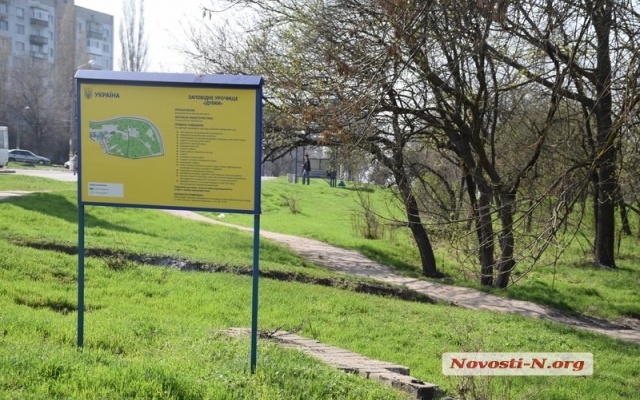 В парке «Дубки» жители Николаева устроили стихийное кладбище животных, на их могилах красуются кресты Фото № 5 В парке «Дубки» жители Николаева устроили стихийное кладбище животных, на их могилах красуются кресты Фото № 5