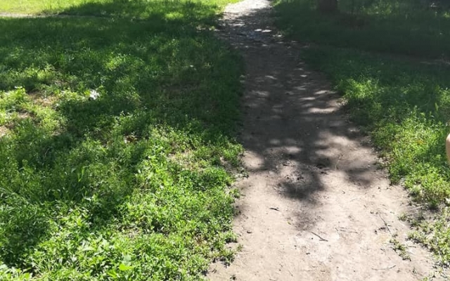 Как в Николаеве детям с особенными потребностями обещали особые условия на ЗНО и что имеем по факту Фото № 6 Как в Николаеве детям с особенными потребностями обещали особые условия на ЗНО и что имеем по факту Фото № 6