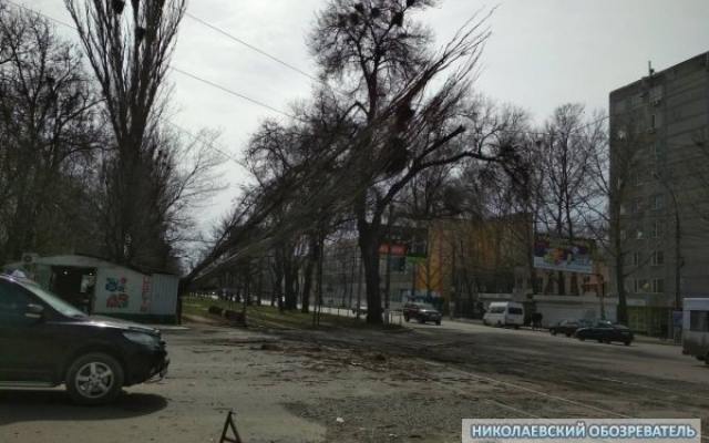 На Богоявленском проспекте из-за сильного порыва ветра тополь упал на электропровода, трамваи не ходят Фото № 0 На Богоявленском проспекте из-за сильного порыва ветра тополь упал на электропровода, трамваи не ходят Фото № 0