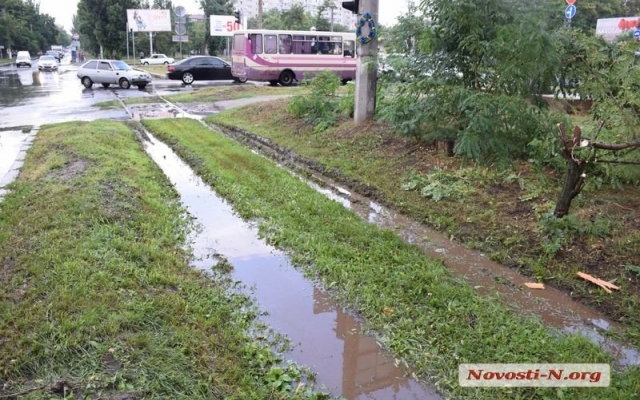 На Чкалова из-за сильного ветра и дождя ветка акации упала на контактные провода и заблокировала проезд трамваев Фото № 3 На Чкалова из-за сильного ветра и дождя ветка акации упала на контактные провода и заблокировала проезд трамваев Фото № 3