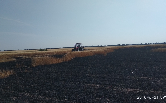 В Очакове загорелось поле с пшеницей Фото № 2 В Очакове загорелось поле с пшеницей Фото № 2
