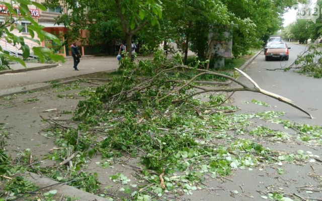 На Театральной из-за сильного ветра упало дерево, перегородило проезжую часть и повредило линию электропередач Фото № 3 На Театральной из-за сильного ветра упало дерево, перегородило проезжую часть и повредило линию электропередач Фото № 3