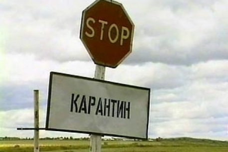 На Николаевщине вновь обнаружили африканскую чуму Фото № 0 На Николаевщине вновь обнаружили африканскую чуму Фото № 0