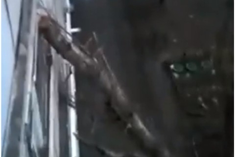 На Космонавтов дерево упало на дом и повредило балконы и окна Фото № 0 На Космонавтов дерево упало на дом и повредило балконы и окна Фото № 0