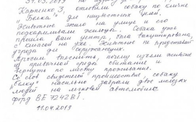 Николаевские зоозащитники зверским образом отлавливают и стерилизуют бездомных собак Фото № 3 Николаевские зоозащитники зверским образом отлавливают и стерилизуют бездомных собак Фото № 3