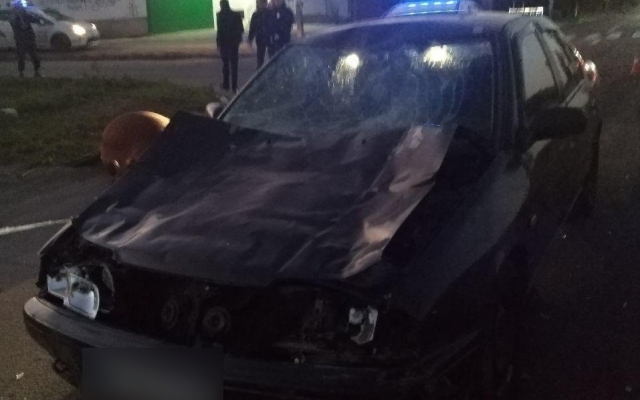 В Николаеве на пешеходном переходе автомобиль насмерть сбил корову, и под колесами чуть не оказалась женщина (фото 18+) Фото № 1 В Николаеве на пешеходном переходе автомобиль насмерть сбил корову, и под колесами чуть не оказалась женщина (фото 18+) Фото № 1