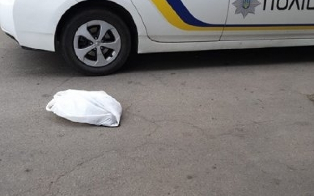 На Скороходова на глазах у детей местный житель из пистолета расстрелял кота Фото № 3 На Скороходова на глазах у детей местный житель из пистолета расстрелял кота Фото № 3