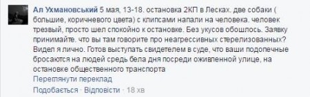 В Николаеве бродячие собаки продолжают нападать на людей Фото № 0 В Николаеве бродячие собаки продолжают нападать на людей Фото № 0