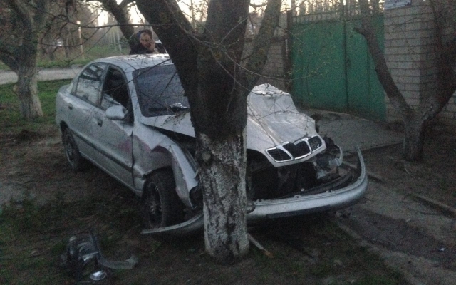 В микрорайоне Терновка произошла авария, один из автомобилей врезался в дерево Фото № 4 В микрорайоне Терновка произошла авария, один из автомобилей врезался в дерево Фото № 4