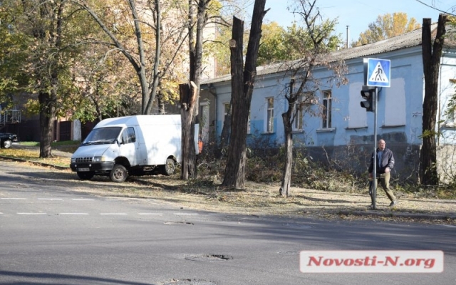 В Николаеве спиливают деревья Фото № 0 В Николаеве спиливают деревья Фото № 0