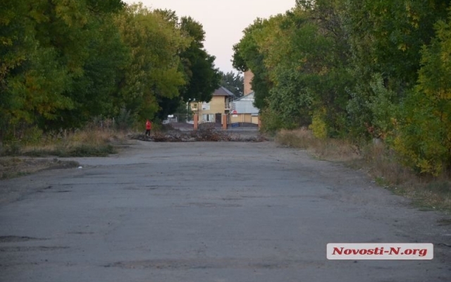 В поселке Грейгово жители перекрыли дорогу к элеватору Фото № 9 В поселке Грейгово жители перекрыли дорогу к элеватору Фото № 9