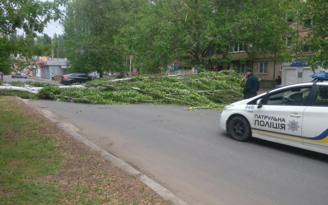 На Театральной из-за сильного ветра упало дерево, перегородило проезжую часть и повредило линию электропередач Фото № 1 На Театральной из-за сильного ветра упало дерево, перегородило проезжую часть и повредило линию электропередач Фото № 1