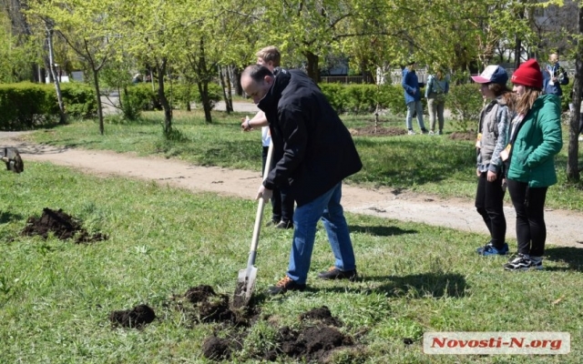 Николаевская молодежь высадили деревья в парке «Лески» Фото № 19 Николаевская молодежь высадили деревья в парке «Лески» Фото № 19