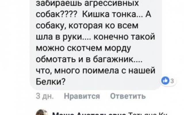 Николаевские зоозащитники зверским образом отлавливают и стерилизуют бездомных собак Фото № 9 Николаевские зоозащитники зверским образом отлавливают и стерилизуют бездомных собак Фото № 9