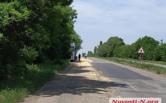 На трассе «Николаев-Ульяновка» из зерновоза на дорогу высыпалось более 5 тонн сои Фото № 6 На трассе «Николаев-Ульяновка» из зерновоза на дорогу высыпалось более 5 тонн сои Фото № 6