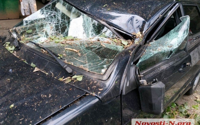 В центре Николаева упавший тополь раздавил автомобиль Фото № 0 В центре Николаева упавший тополь раздавил автомобиль Фото № 0