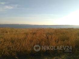 В Николаеве городской общине вернули очередной земельный участок в «Леваневском» Фото № 0 В Николаеве городской общине вернули очередной земельный участок в «Леваневском» Фото № 0