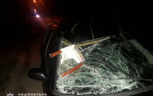 В Вознесенске автомобиль на смерть сбил женщину-велосипедиста Фото № 0 В Вознесенске автомобиль на смерть сбил женщину-велосипедиста Фото № 0