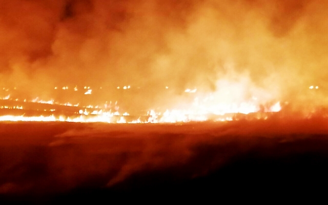 Неизвестные подожгли Балабановский лес сразу в трех местах Фото № 0 Неизвестные подожгли Балабановский лес сразу в трех местах Фото № 0