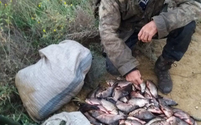 В Березнеговатском районе полицейские обнаружили четырех браконьеров с сетками и с крупным уловом рыбы Фото № 1 В Березнеговатском районе полицейские обнаружили четырех браконьеров с сетками и с крупным уловом рыбы Фото № 1