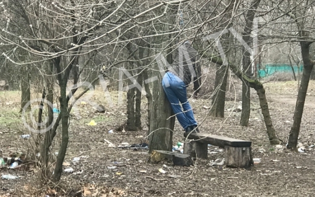 В сквере на Богдана Хмельницкого обнаружили повешенным на дереве мужчину (фото 18+) Фото № 3 В сквере на Богдана Хмельницкого обнаружили повешенным на дереве мужчину (фото 18+) Фото № 3