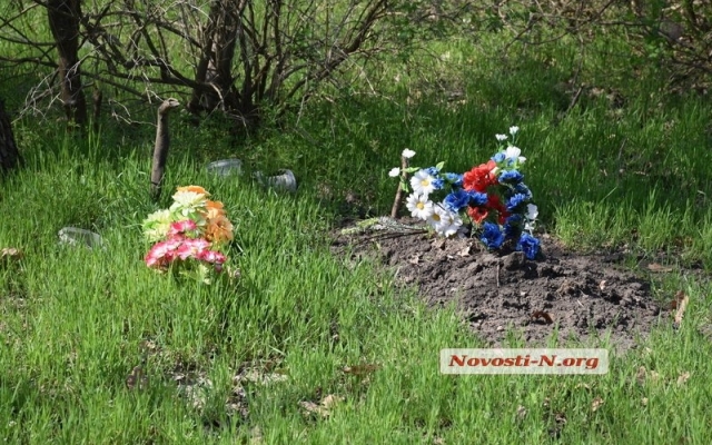 В парке «Дубки» жители Николаева устроили стихийное кладбище животных, на их могилах красуются кресты Фото № 3 В парке «Дубки» жители Николаева устроили стихийное кладбище животных, на их могилах красуются кресты Фото № 3