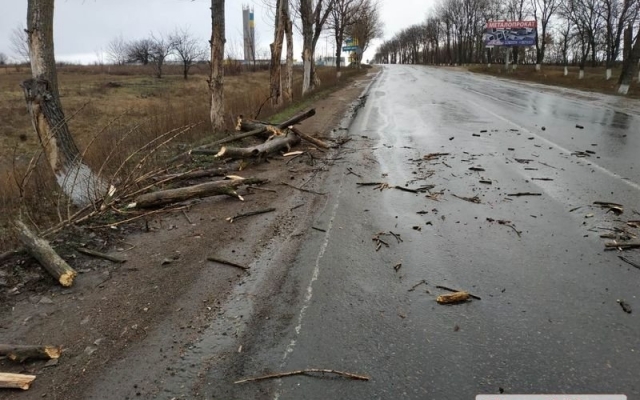 На Первомайск обрушился непогода: град, сильный дождь и шквальный ветер Фото № 1 На Первомайск обрушился непогода: град, сильный дождь и шквальный ветер Фото № 1