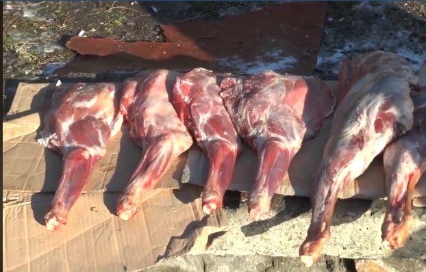 На Намыве птицы едят мясо, которое продают николаевцам «с картонки» Фото № 0 На Намыве птицы едят мясо, которое продают николаевцам «с картонки» Фото № 0