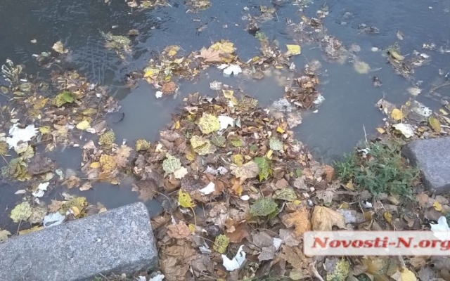 По улицам Николаева снова потекли зловонные ручьи и реки Фото № 4 По улицам Николаева снова потекли зловонные ручьи и реки Фото № 4