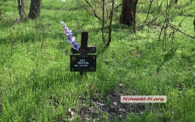 В парке «Дубки» жители Николаева устроили стихийное кладбище животных, на их могилах красуются кресты Фото № 0 В парке «Дубки» жители Николаева устроили стихийное кладбище животных, на их могилах красуются кресты Фото № 0
