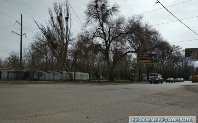 На Богоявленском проспекте из-за сильного порыва ветра тополь упал на электропровода, трамваи не ходят Фото № 3 На Богоявленском проспекте из-за сильного порыва ветра тополь упал на электропровода, трамваи не ходят Фото № 3